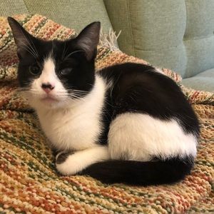 Meet your Posher, Katherine